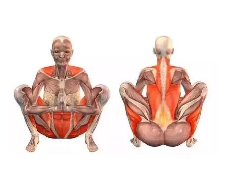 瑜伽動(dòng)作小課堂！