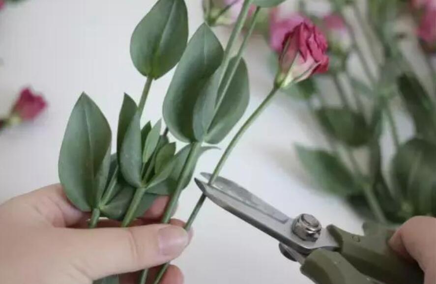 南寧花藝培訓(xùn)學(xué)校教你正確修剪花材的方法