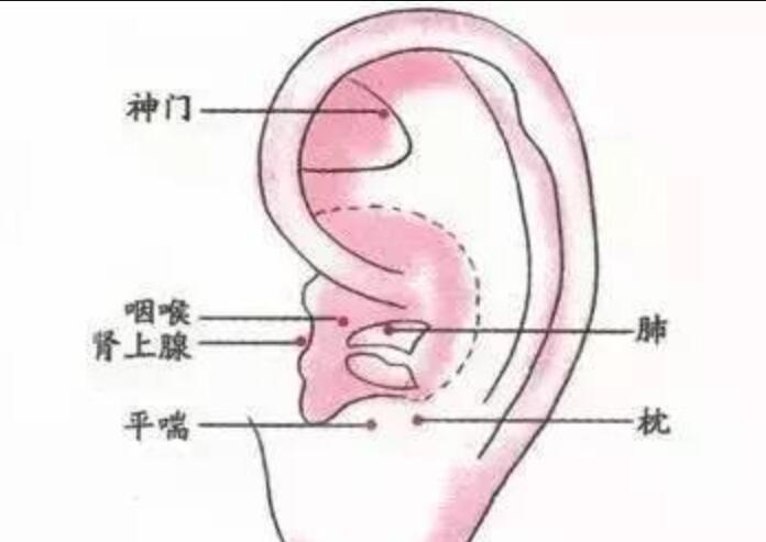 如何正確艾灸耳朵？南寧美容學(xué)校幫你整理教程