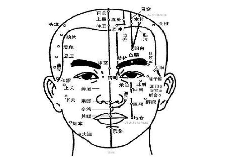 南寧美容培訓課程：認識頭部經絡的走向