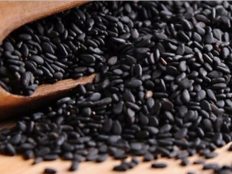 在家也能做的美發(fā)沙龍！