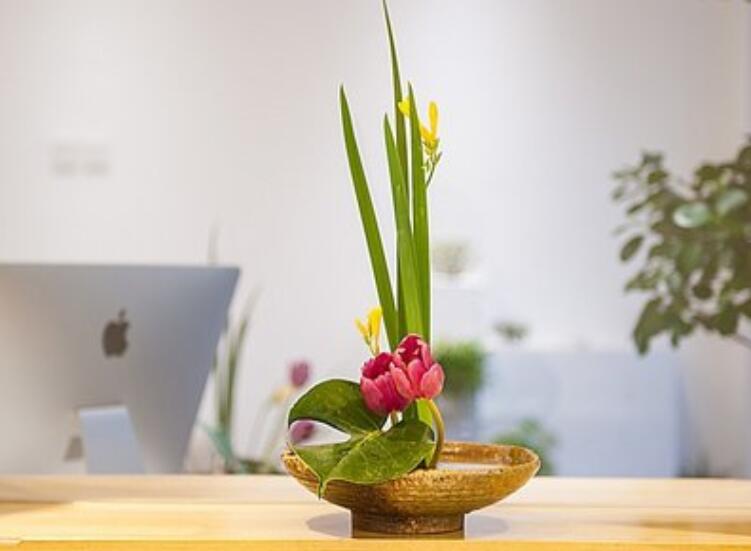 什么是盆式插花？南寧插花培訓(xùn)課程解析