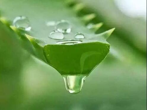 廣西美容護(hù)膚：蘆薈護(hù)膚過(guò)敏怎么辦