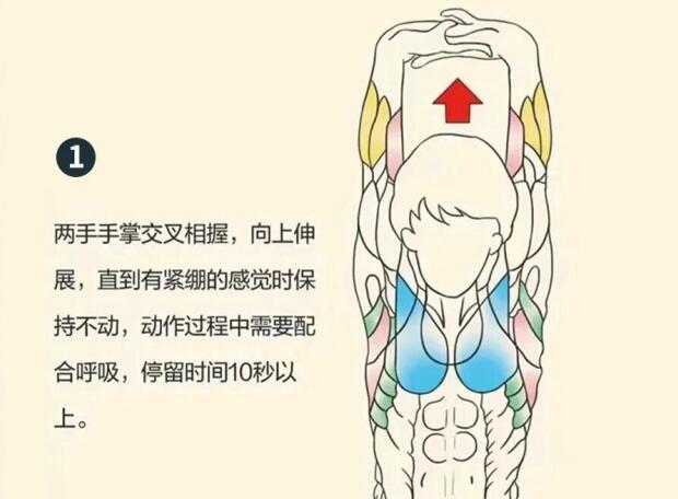 南寧美容師培訓(xùn)要學(xué)什么？背部護(hù)理就是其中一項(xiàng)