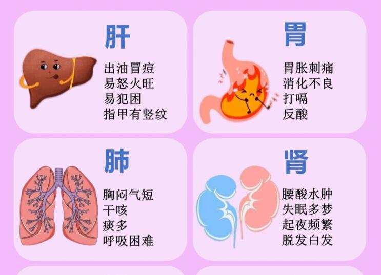 6大臟器保養(yǎng)指南，6款養(yǎng)生茶喝起來 ???