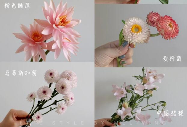 認(rèn)識(shí)常見花朵的名稱，廣西插花學(xué)?；ㄋ嚺嘤?xùn)基礎(chǔ)