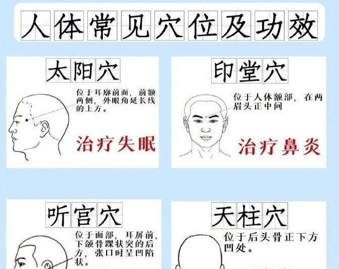 人體常見穴 位及功效，廣西專業(yè)正規(guī)美容學(xué)校講解