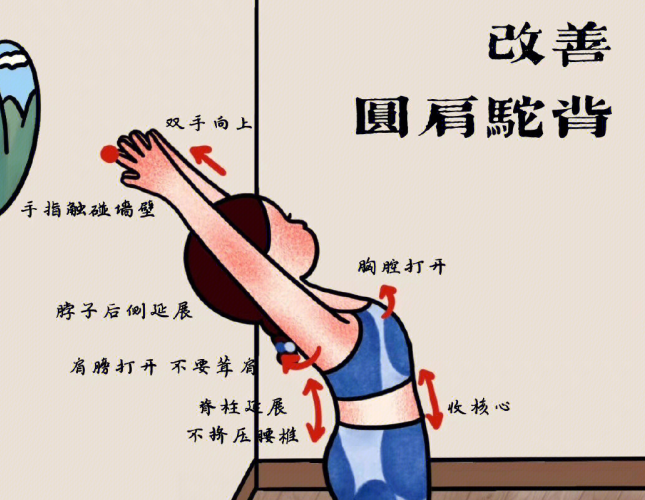 廣西美容美體學校教你改善圓肩駝背