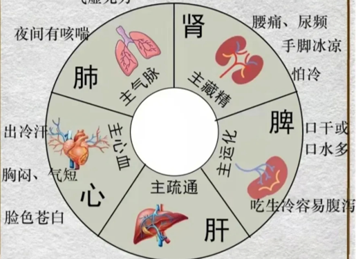 人體不同部位受寒的表現(xiàn)，廣西中醫(yī)美容培訓分享