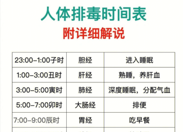 人體排毒時間表，南寧美容專業(yè)學(xué)校詳細(xì)解說