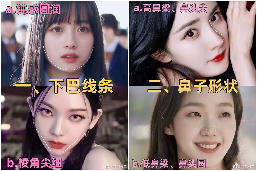 彩妝妝容分析分享：自測(cè)動(dòng)物系長(zhǎng)相？