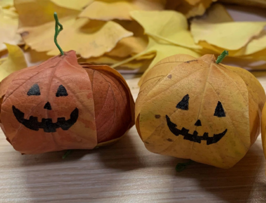 萬圣落葉南瓜燈教程 ，可可愛愛萌萌噠