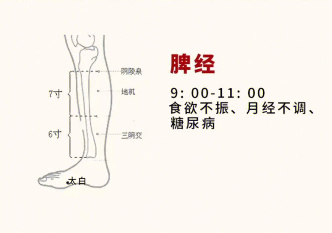 日常容易堵塞的身體部位，廣西美容基礎(chǔ)教學(xué)