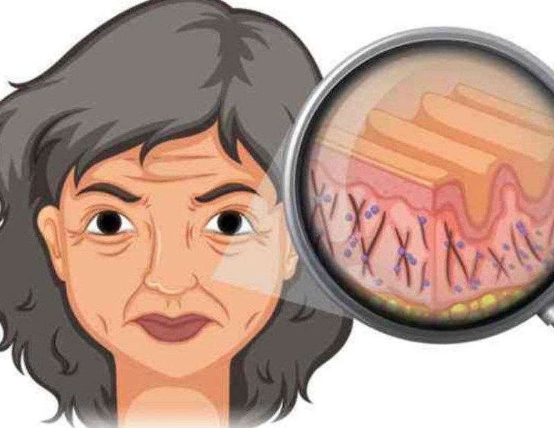 女性如何延緩衰老？南寧皮膚管理培訓班講解