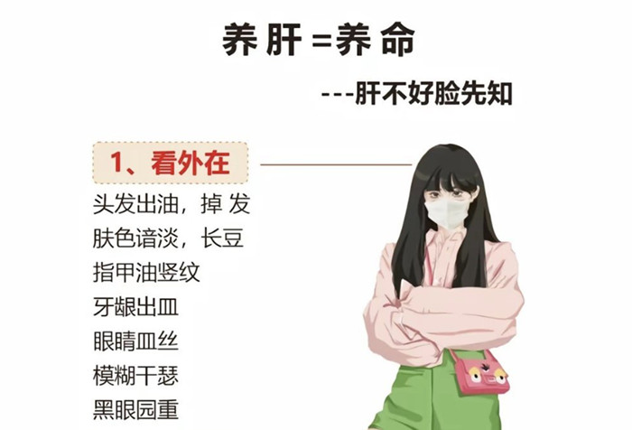 南寧學(xué)健康美容：如何正確養(yǎng)肝？