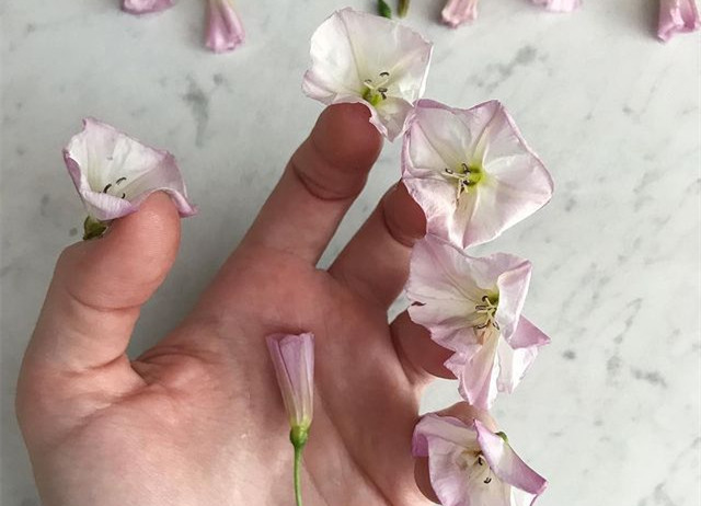 植物藝術(shù)美甲，南寧美甲造型設(shè)計培訓分享