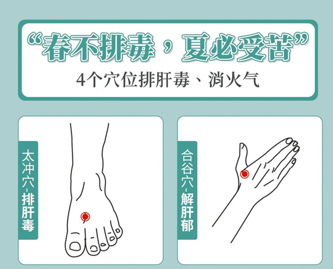 南寧美容健康管理：春季如何養(yǎng)生？