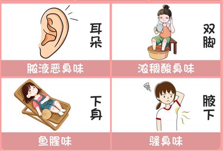 體味重的部位和緩解方法，廣西美容美體專(zhuān)業(yè)介紹