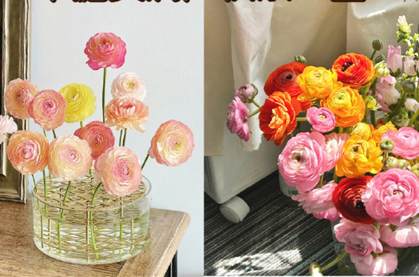 小眾但花語(yǔ)很美的花卉，南寧鮮花知識(shí)培訓(xùn)